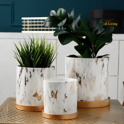 Premium 2 tone pot