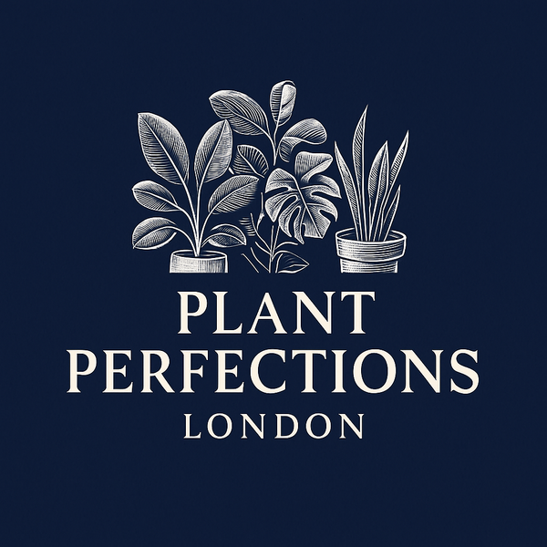 Plant Perfections London