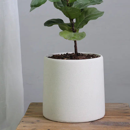 "High-End Minimalist Concrete Indoor Plant Pot"